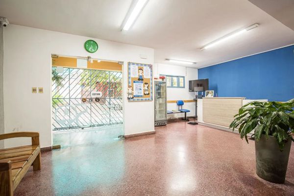 Instalaciones del Colegio 1° de Marzo, foto 5